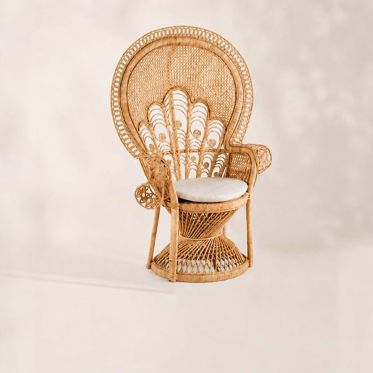 Location de Chaises Emmanuelle-Le duo