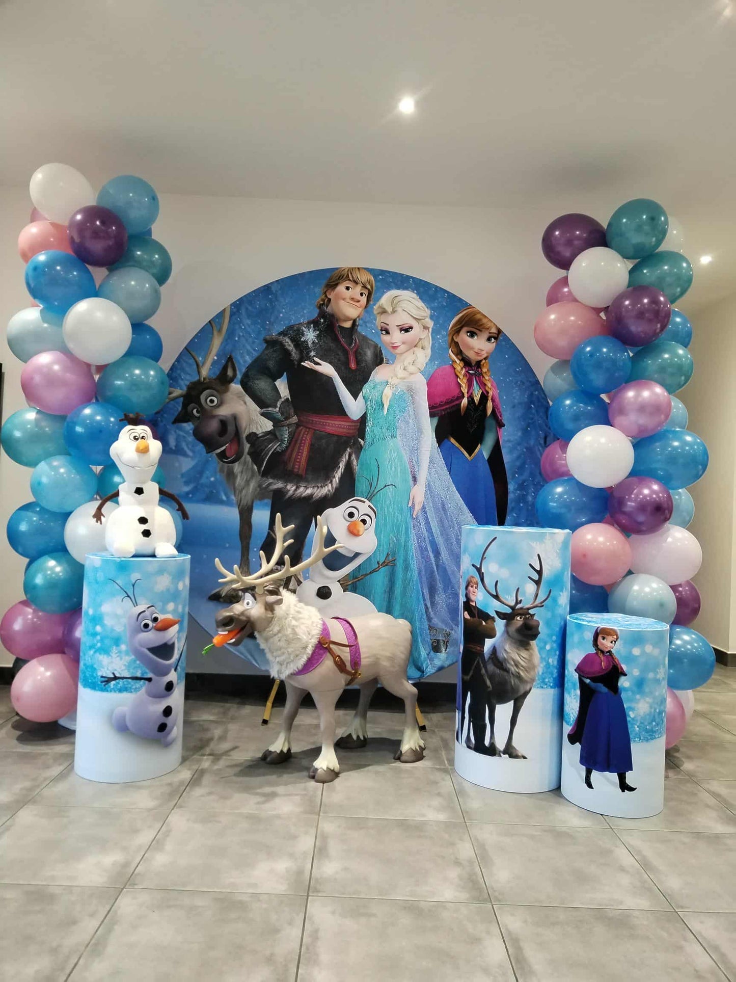 Toile thème Princesse de Glace